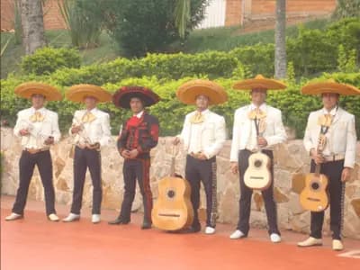 Mariachi Caballo de Patas Blancas — Mariachis para Eventos en Cali